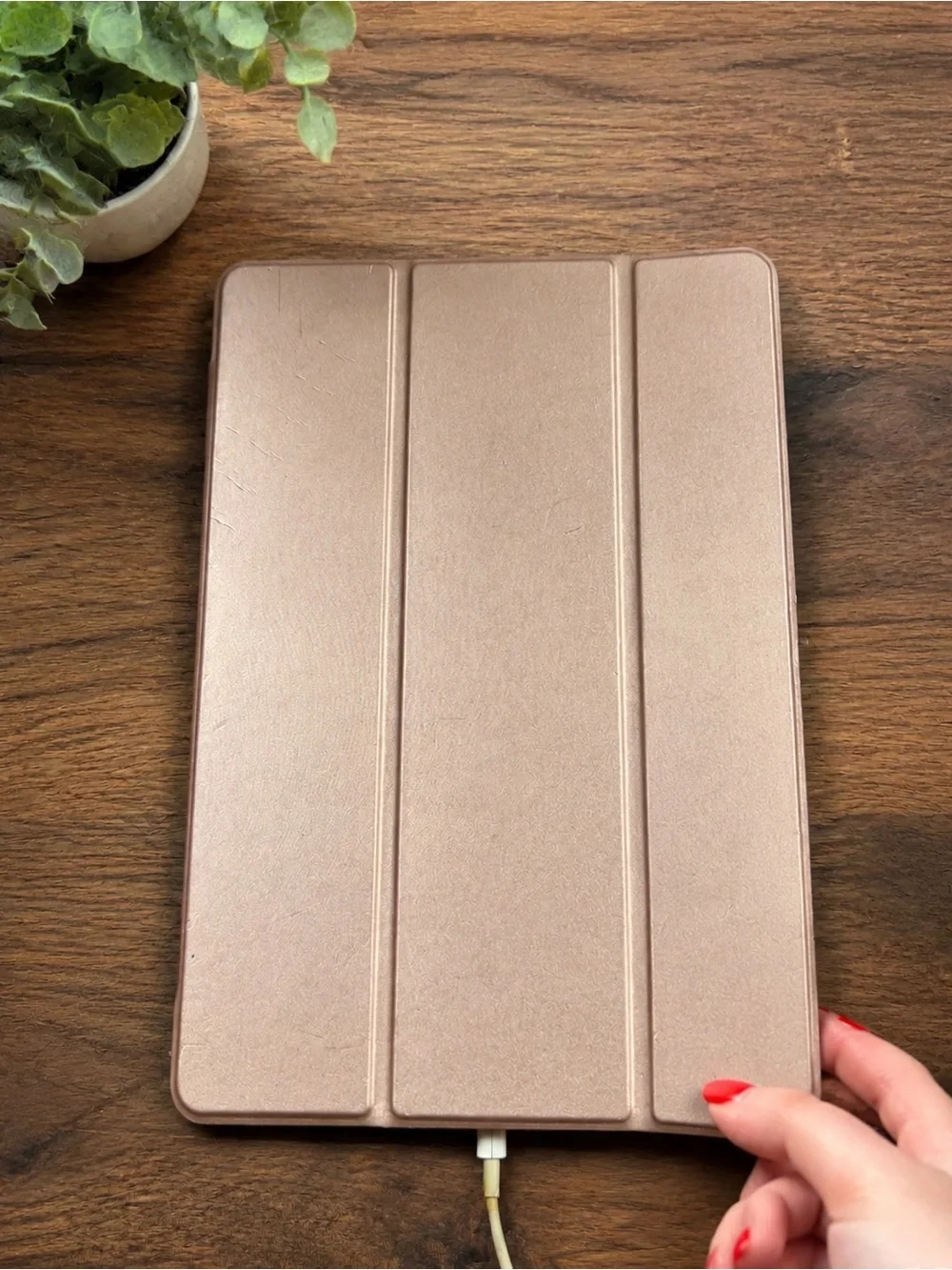 Apple iPad with White Front and Rose Gold Case